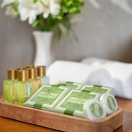 Landmark Creek And Wellness 4* بلوفديف