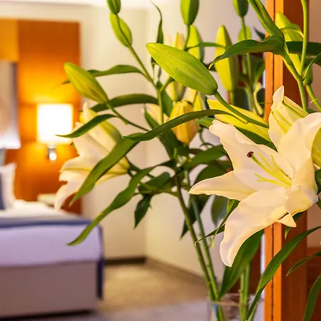 Hotel Landmark Creek 4*